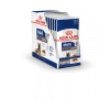 Royal Canin Maxi Ageing 8+ Pour Chien 10 X 140g -Fournitures Pour Animaux Magasin b0b43132a0501787f5447e97d82f82218426be26eb348de4f750b857b6561a87