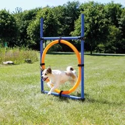 Trixie Fun Agility Anneau -Fournitures Pour Animaux Magasin b79a4466414a4da2954e391c8207a65bb94e1716621690dc570aa14f387fe2a5