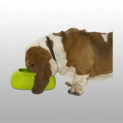 Buster Gamelle Incredibowl -Fournitures Pour Animaux Magasin b7db7eb0627be48e1161fb24e8121baeec2f2b6161bf624f19777e80bde9c2c9