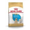 Royal Canin Labrador Retriever Chiot Pour Chien 3kg -Fournitures Pour Animaux Magasin b893dc01554db0134b70f0d109ed0f581d5d4cb344868e23eca0425bd0d94dab