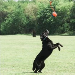 Ballon 3 En 1 Rope Fetch 9 Ballon 3 En 1 Rope Fetch -Fournitures Pour Animaux Magasin ballon 3 en 1 rope fetch3