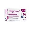 SILYCURE 160mg 75 Comprimés -Fournitures Pour Animaux Magasin c1a1f313f88eacedf124a1e6b01fcfac0a3b05517783d6eaac91ace94d7223fe
