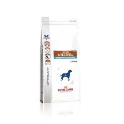 Royal Canin Gastro Intestinal Moderate Calorie Chien -Fournitures Pour Animaux Magasin c96be46b08946a606f224303102df65abfaed4d03ddb9e5c7287ed64f3014855