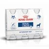 Royal Canin Renal Liquid Chien - 3 Flacons De 200ml