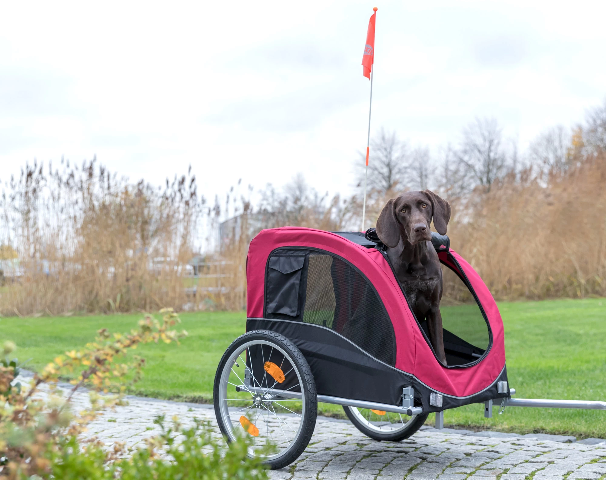 Trixie Remorque De Vélo Pour Chiens L 75 × 86 × 80 4 Trixie Remorque De Vélo Pour Chiens L 75 × 86 × 80 – Image 2