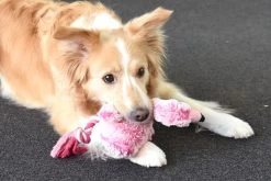 Flamingo Jouet Chien Peluche Andes Flamant Rose 36cm 8 Flamingo Jouet Chien Peluche Andes Flamant Rose 36cm -Fournitures Pour Animaux Magasin ed2d50211e2888730dfb561c12fb49e3b6842b0562aadf2de2065d6f320fa5c3