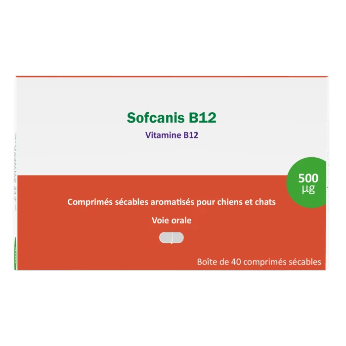 Sofcanis B12 40 Comprimés 3 Sofcanis B12 40 Comprimés