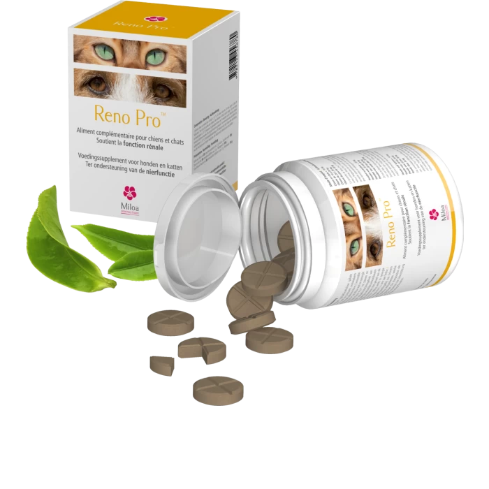 Reno Pro Miloa 30 Comprimés 3 Reno Pro Miloa 30 Comprimés