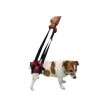 HARNAIS SUPPORT TRAIN ARRIERE -Fournitures Pour Animaux Magasin harnais support 3