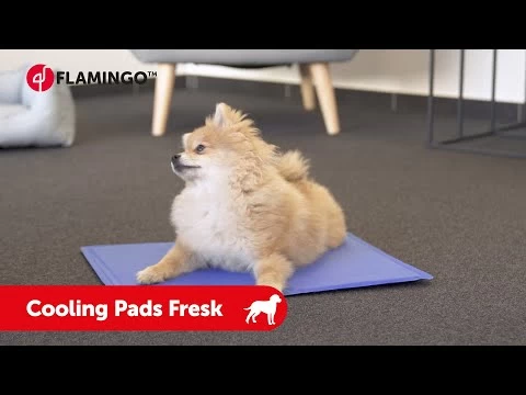 Flamingo Tapis Rafraîchissant Fresk - M (70x50cm) 6 Flamingo Tapis Rafraîchissant Fresk - M (70x50cm) – Image 4