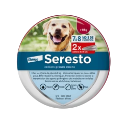 Seresto Collier Chien 12 Seresto Collier Chien -Fournitures Pour Animaux Magasin packshot seresto x2 duopack grand chien