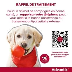 Advantix Très Petit Chien 2-4Kg -Fournitures Pour Animaux Magasin rappel traitement advantix FR 1