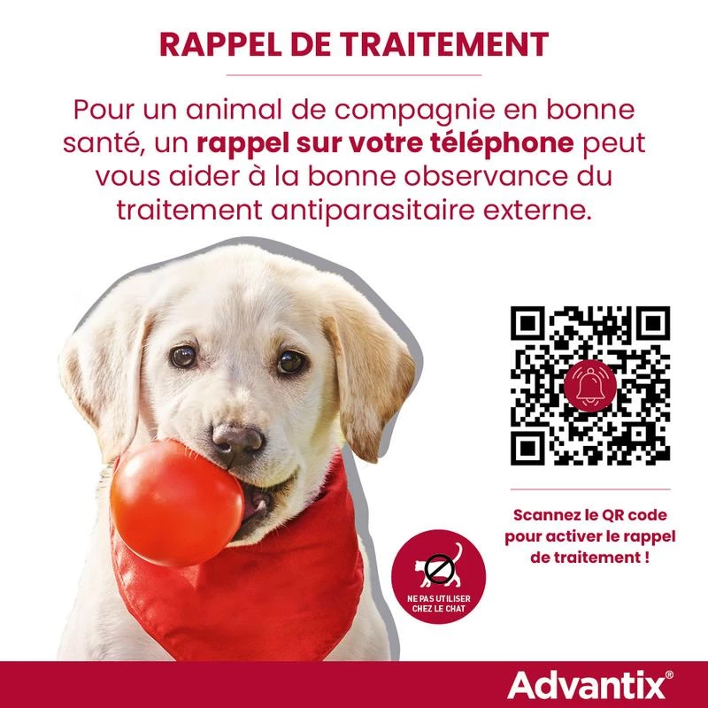 Bayer Advantix Grand Chien 25-40Kg 9 Bayer Advantix Grand Chien 25-40Kg – Image 7