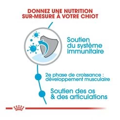 Royal Canin Giant Junior Pour Chien 15kg -Fournitures Pour Animaux Magasin royal canin giant junior giant junior 2