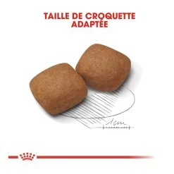 Royal Canin Giant Junior Pour Chien 15kg -Fournitures Pour Animaux Magasin royal canin giant junior giant junior 3