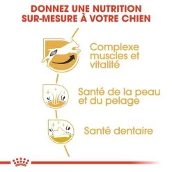 Royal Canin Jack Russell Adult Pour Chien 7,5kg 10 Royal Canin Jack Russell Adult Pour Chien 7,5kg -Fournitures Pour Animaux Magasin royal canin jack russell adult jack russell adulte 2