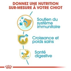 Royal Canin Labrador Retriever Chiot Pour Chien 3kg -Fournitures Pour Animaux Magasin royal canin labrador retriever puppy labrador retriever junior 2