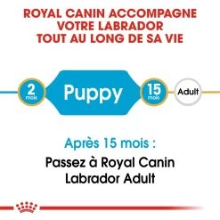 Royal Canin Labrador Retriever Chiot Pour Chien 3kg -Fournitures Pour Animaux Magasin royal canin labrador retriever puppy labrador retriever junior 3