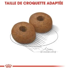 Royal Canin Maxi Ageing 8+ Pour Chien 15kg -Fournitures Pour Animaux Magasin royal canin maxi ageing croquettes pour chien maxi ageing 2