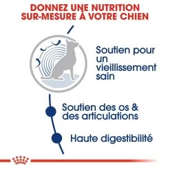 Royal Canin Maxi Ageing 8+ Pour Chien 15kg -Fournitures Pour Animaux Magasin royal canin maxi ageing croquettes pour chien maxi ageing 4