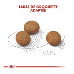 Royal Canin Maxi Chiot Pour Chien 4kg -Fournitures Pour Animaux Magasin royal canin maxi puppy croquettes pour chiot maxi puppy 3 1