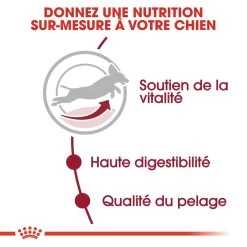 Royal Canin Medium Adult 7+ Pour Chien 15kg 11 Royal Canin Medium Adult 7+ Pour Chien 15kg -Fournitures Pour Animaux Magasin royal canin medium adult medium adult 2