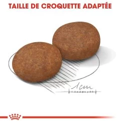 Royal Canin Medium Adult 7+ Pour Chien 15kg 12 Royal Canin Medium Adult 7+ Pour Chien 15kg -Fournitures Pour Animaux Magasin royal canin medium adult medium adult 3