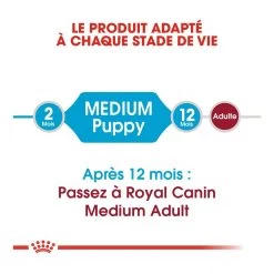 Royal Canin Medium Junior Pour Chien -Fournitures Pour Animaux Magasin royal canin medium puppy croquettes pour chiot medium puppy 2 1