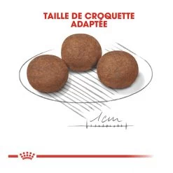 Royal Canin Medium Junior Pour Chien -Fournitures Pour Animaux Magasin royal canin medium puppy croquettes pour chiot medium puppy 4 1