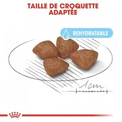 Royal Canin Mini Starter Mother & Babydog - 8Kg 11 Royal Canin Mini Starter Mother & Babydog - 8Kg -Fournitures Pour Animaux Magasin royal canin mini starter mini starter 2