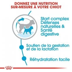 Royal Canin Mini Starter Mother & Babydog - 8Kg 12 Royal Canin Mini Starter Mother & Babydog - 8Kg -Fournitures Pour Animaux Magasin royal canin mini starter mini starter 3