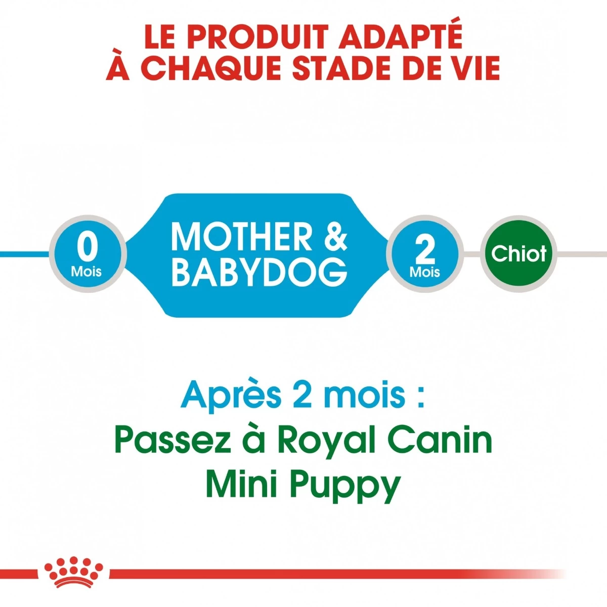Royal Canin Mini Starter Mother & Babydog - 8Kg 8 Royal Canin Mini Starter Mother & Babydog - 8Kg – Image 6